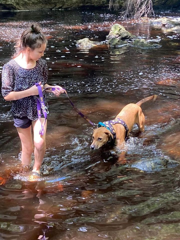 Shana *HERE IN NH* 3