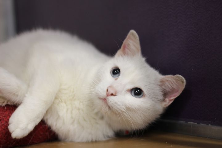 Sammy (Sponsored) 3