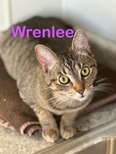 Wrenlee detail page