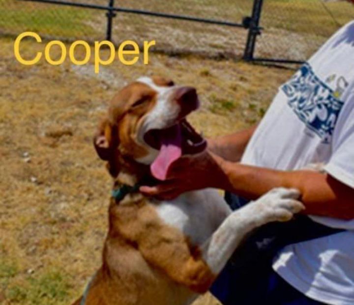 Cooper CS 2