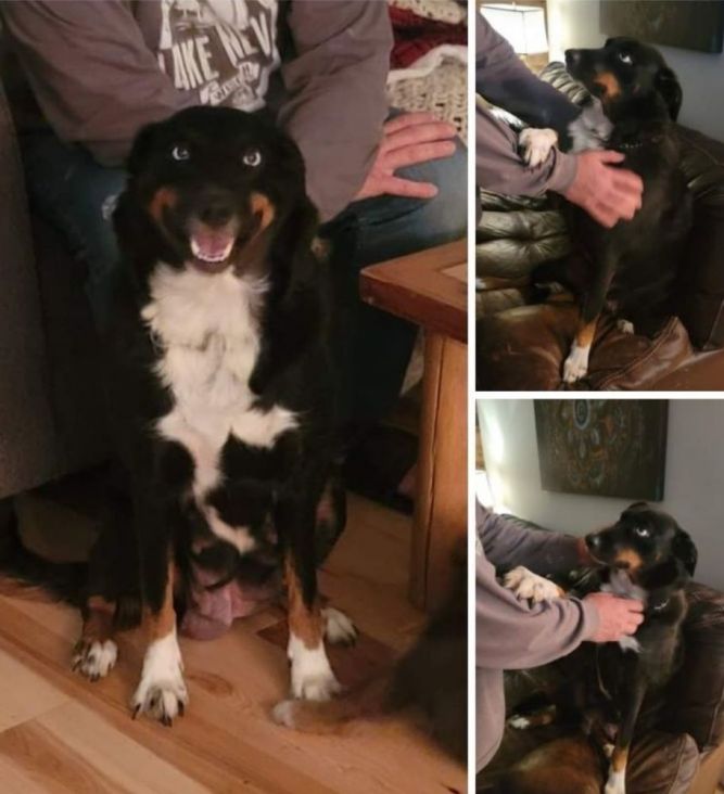 Maggie (Courtesy Post)