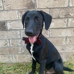 Tucker 2