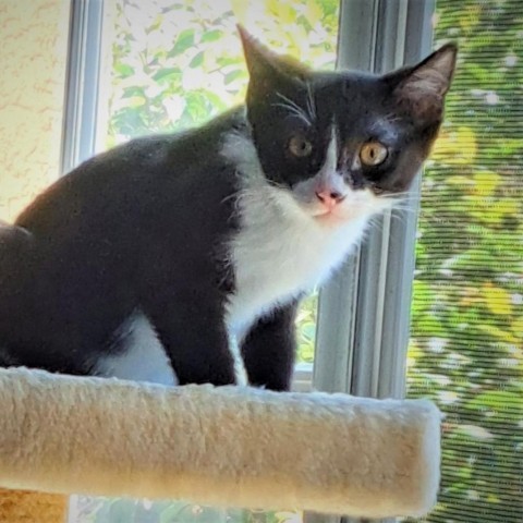 Maxine (AKA Selina)