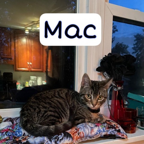 Mac 1