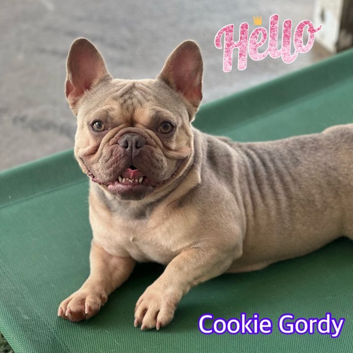 Cookie Gordy 1
