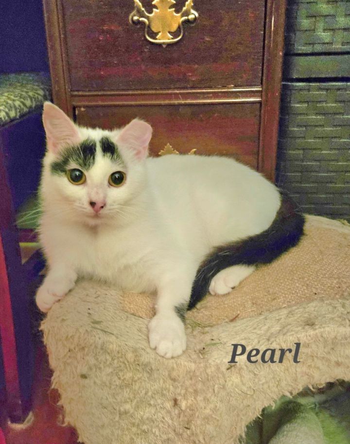 Pearl 3