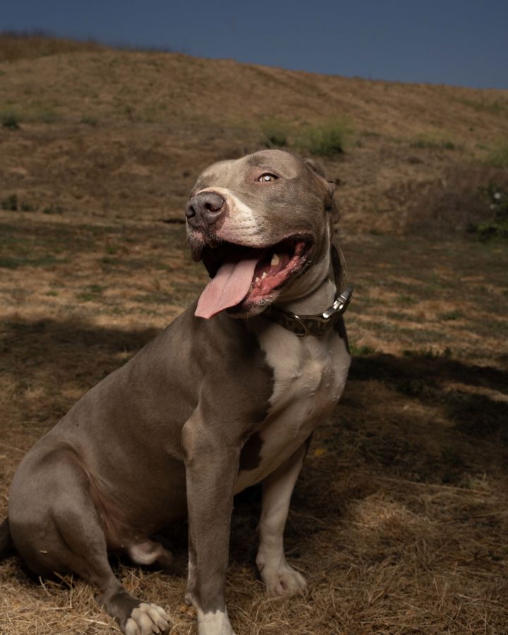 Frankky 5