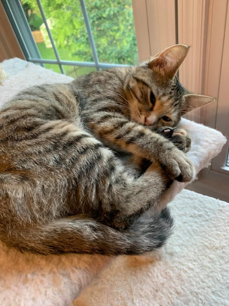Mirabel