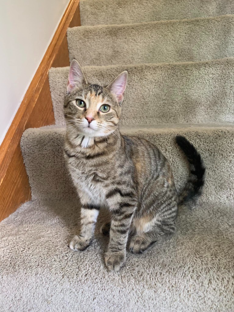 Mirabel