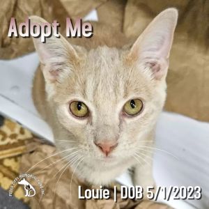 Louie