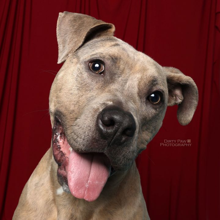 Bruce 1