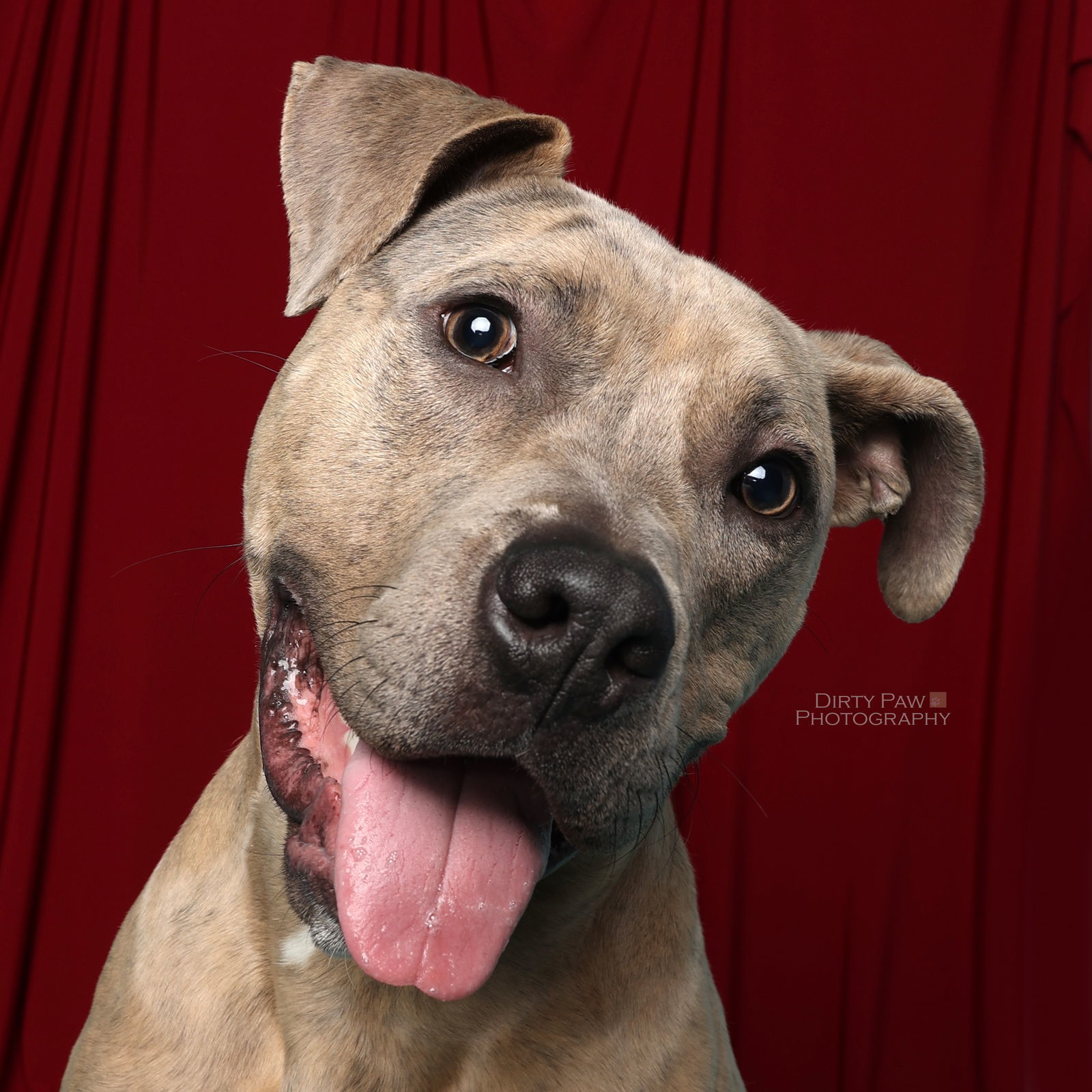 Bruce