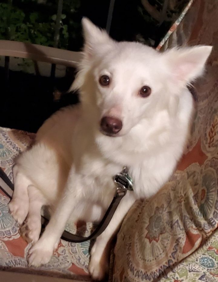 Daisy-Adopted! 2