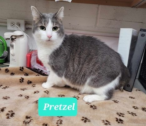 Pretzel-Sponsored