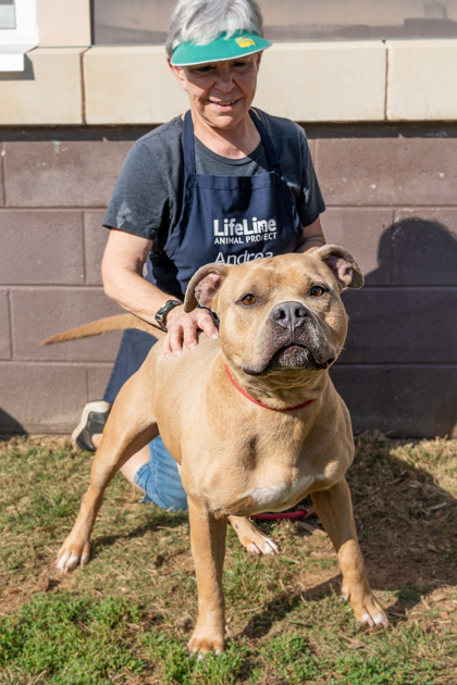 Gentle Ben- IN FOSTER 3