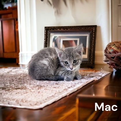 Mac