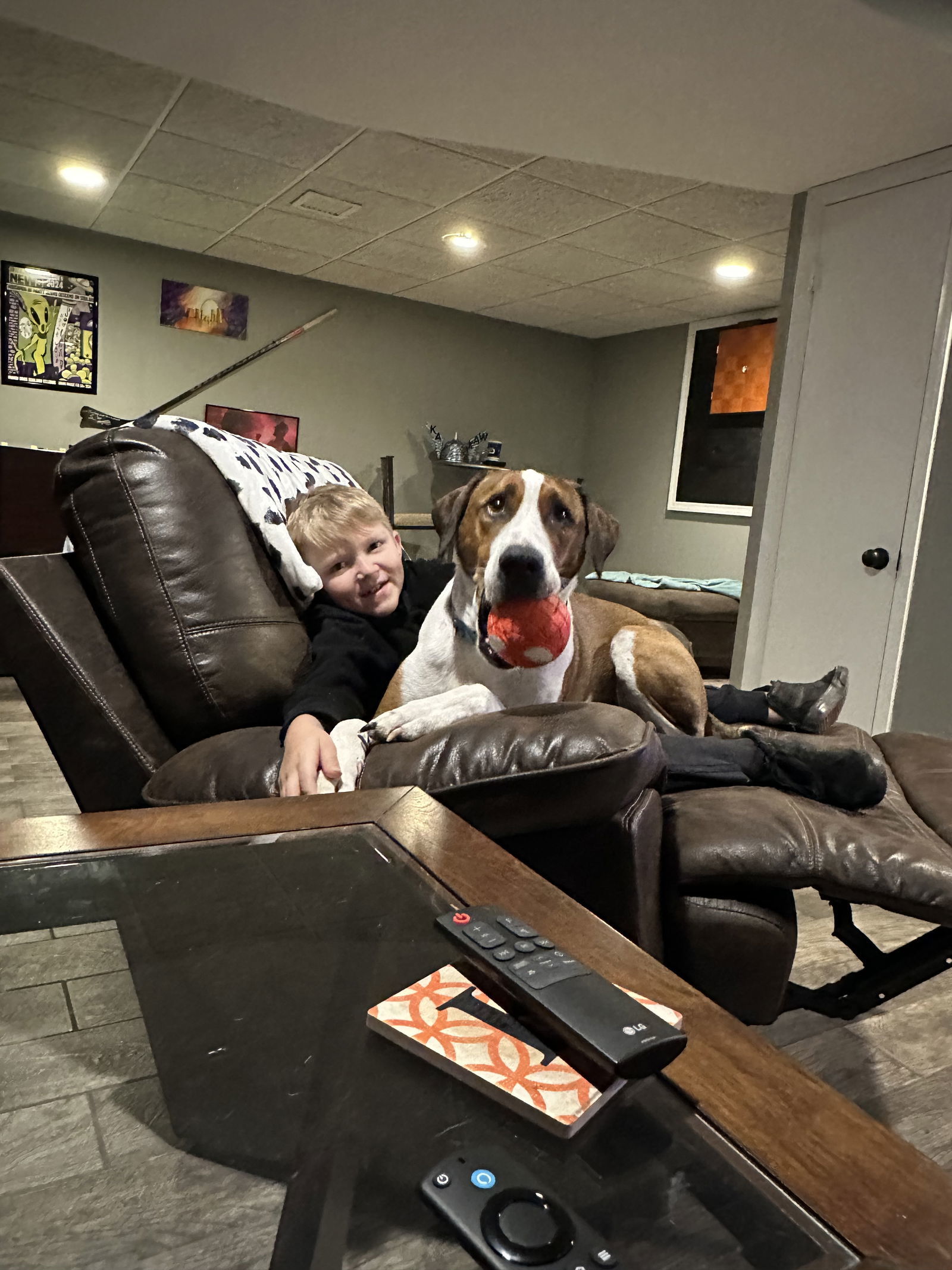 Beau, an adoptable Pit Bull Terrier, Hound in St. Louis, MO, 63125 | Photo Image 3