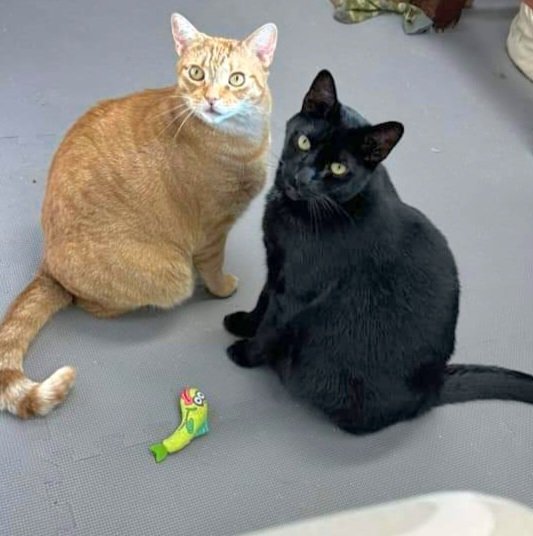 Stewart (& Murdoch)