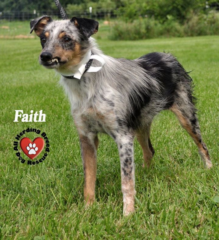 Faith 1
