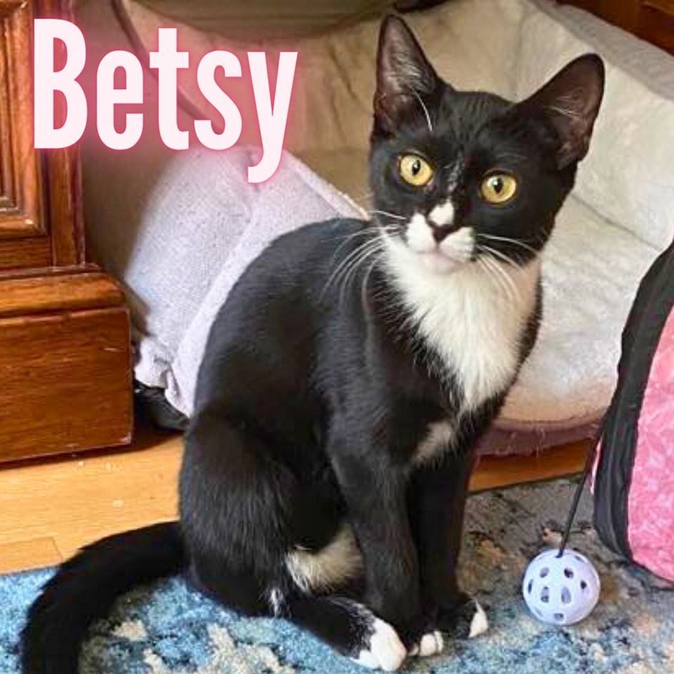 Betsy *The Sweetest Shy Girl*