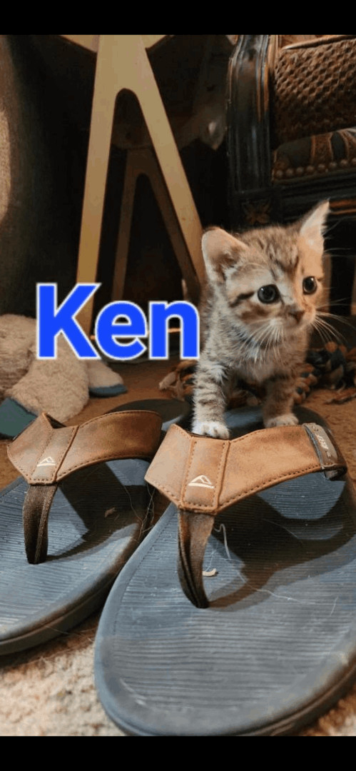 Ken