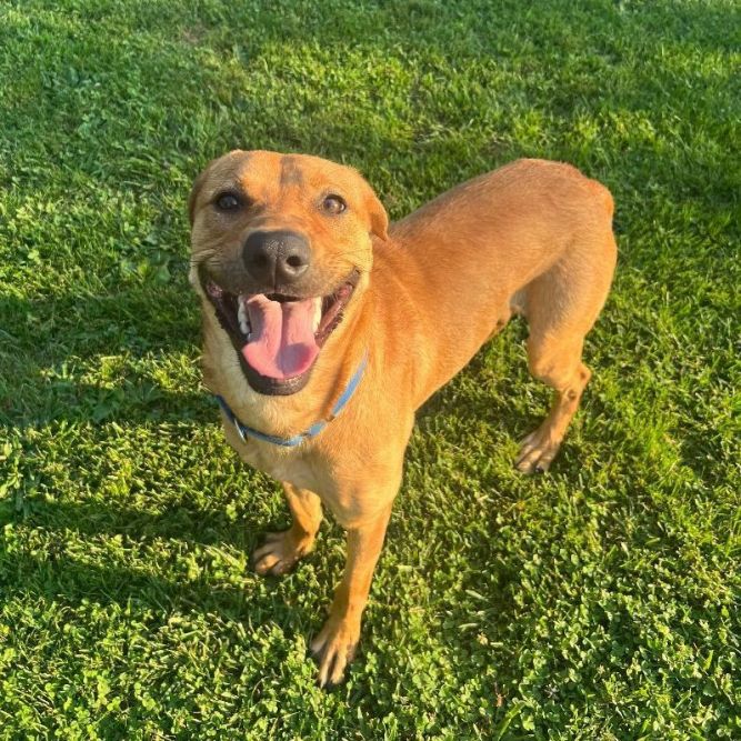 Max