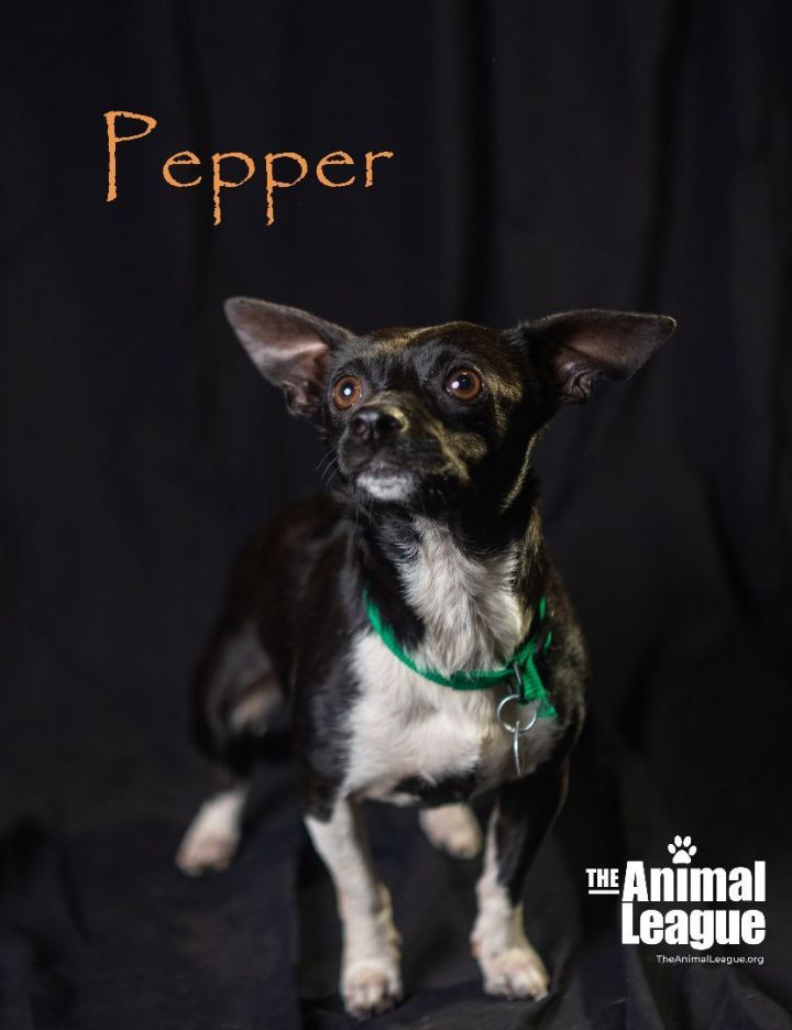 Pepper 3