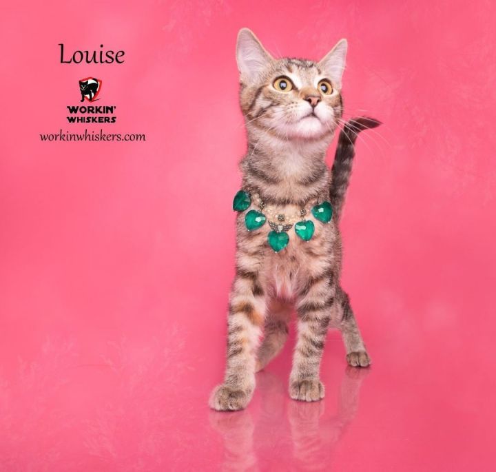 LOUISE 1