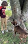 Charlie photo 1