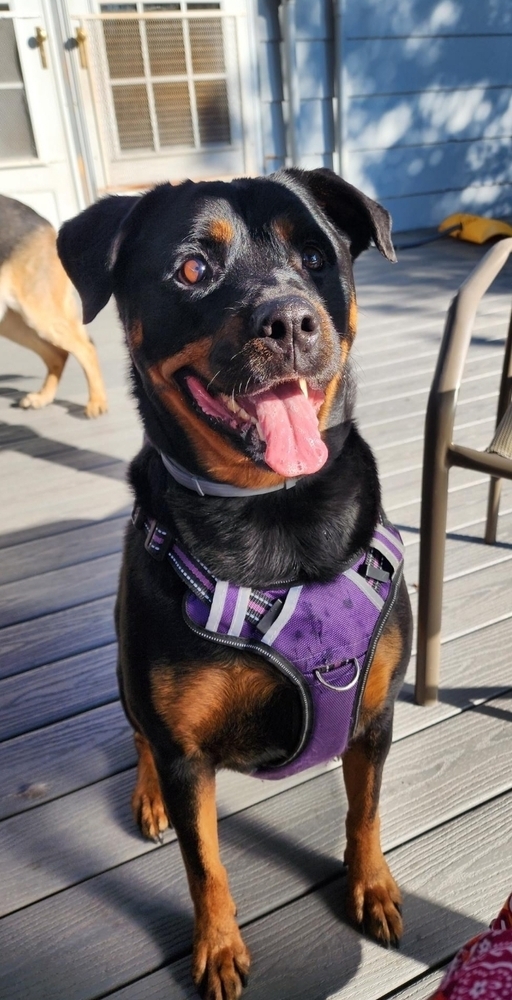 Pretty Penny