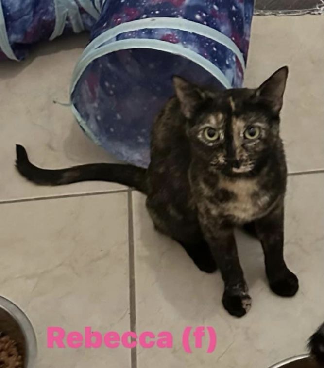 Rebecca