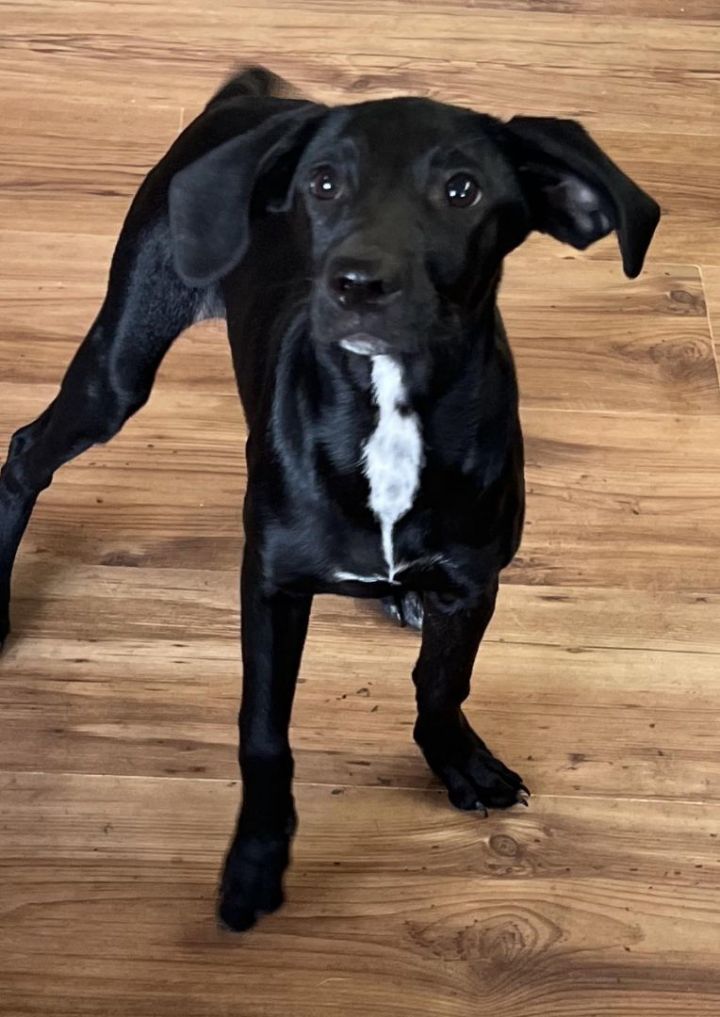 Maya *HERE IN NH* 6