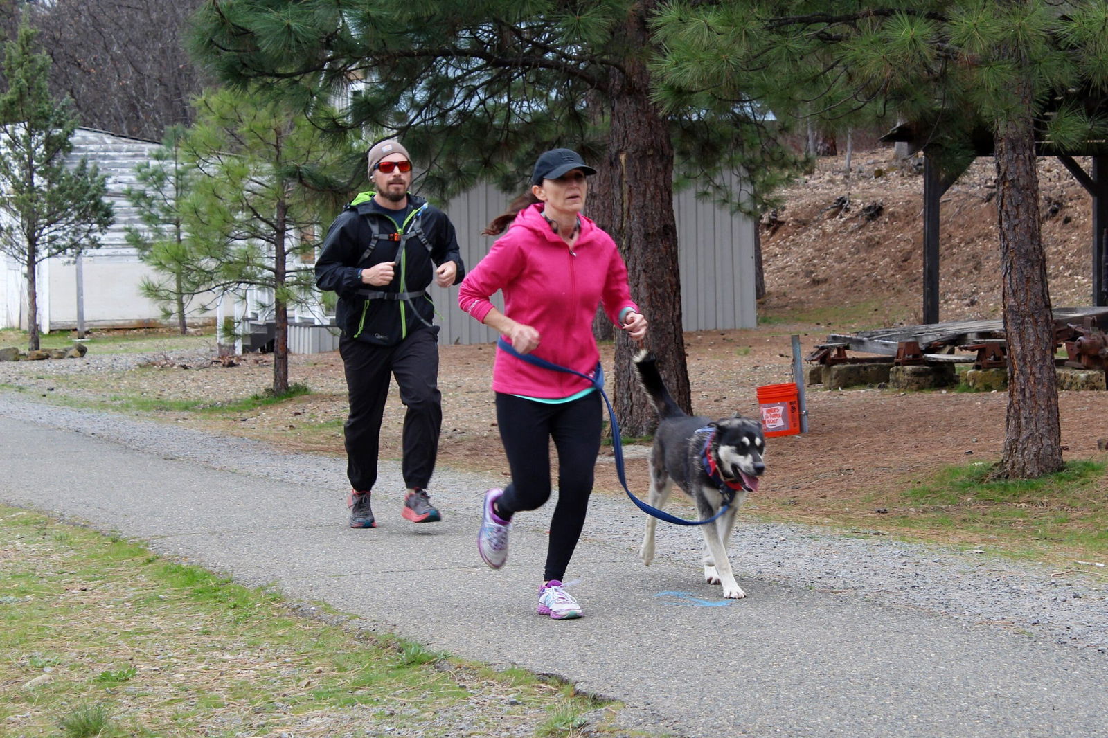 Guppy, an adoptable Husky, Labrador Retriever in Yreka, CA, 96097 | Photo Image 3