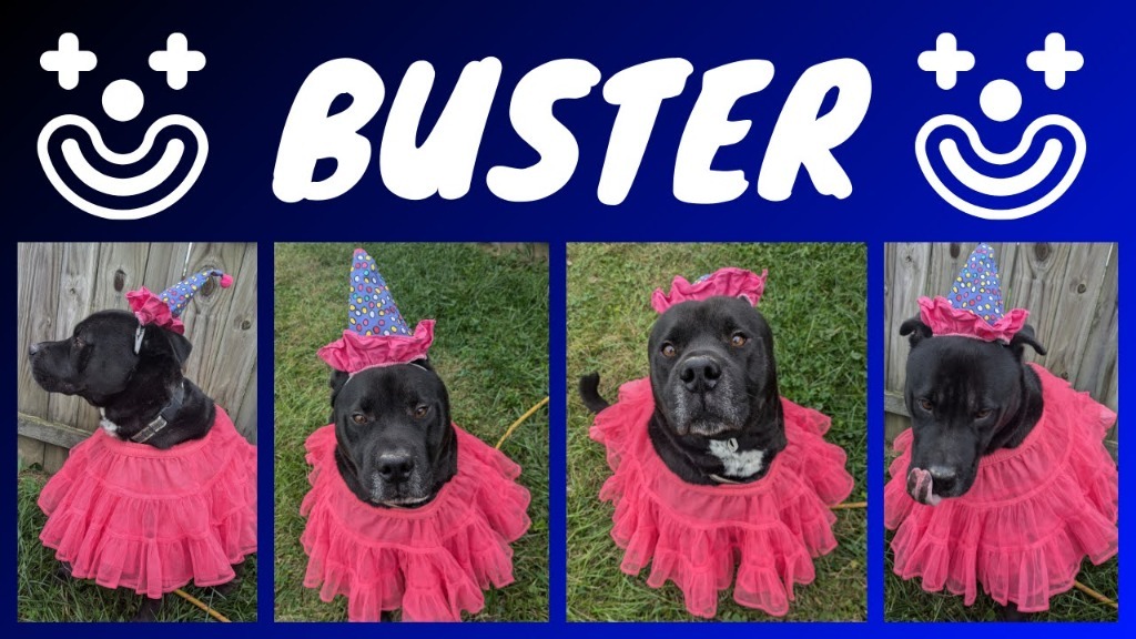 Buster-Sponsored