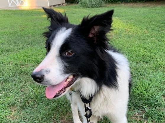 Finley  2