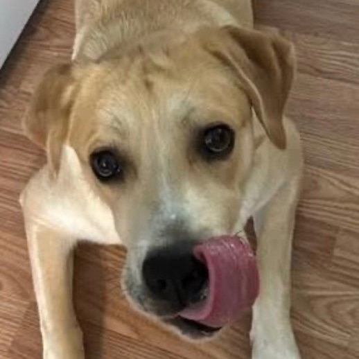 Kona (I have a video) 3