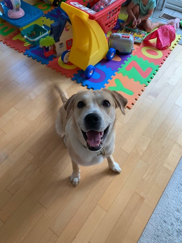 Kona (I have a video) 4