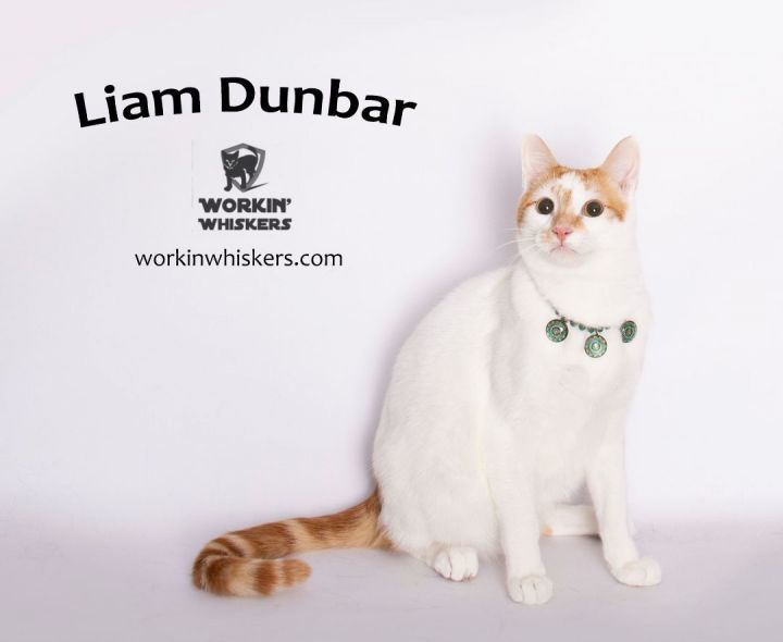 LIAM DUNBAR 1