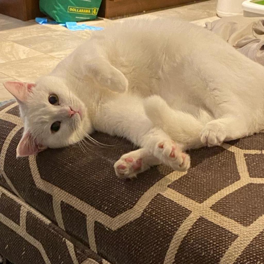 Freya