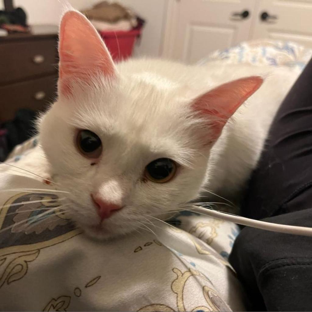 Freya
