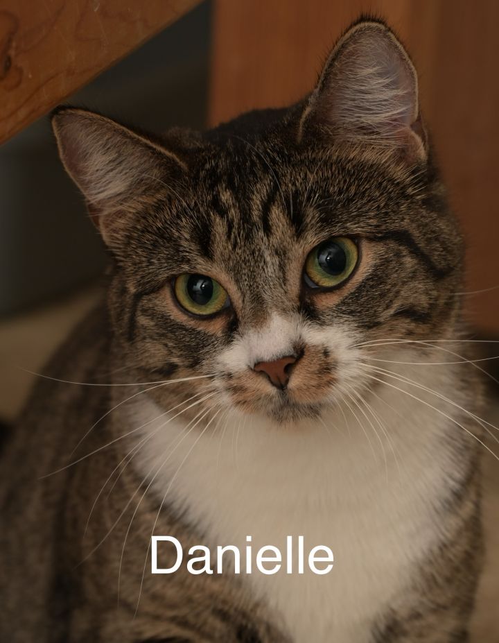 Danielle 1