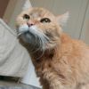 Wilma
