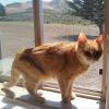 Wilma