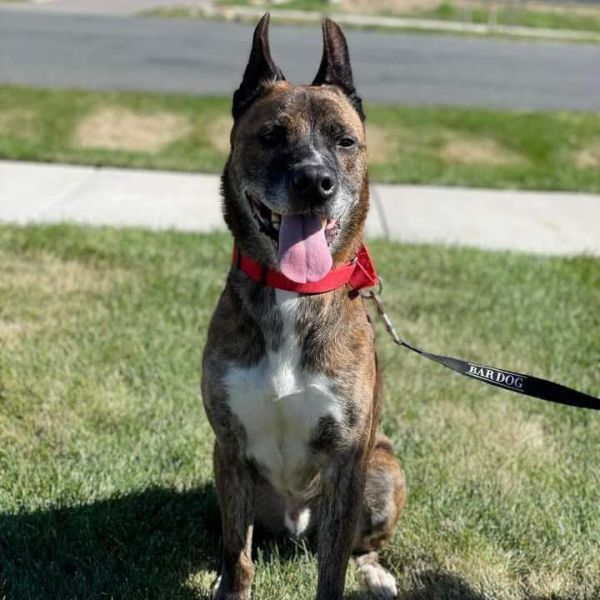 Rosco