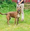 Rosco