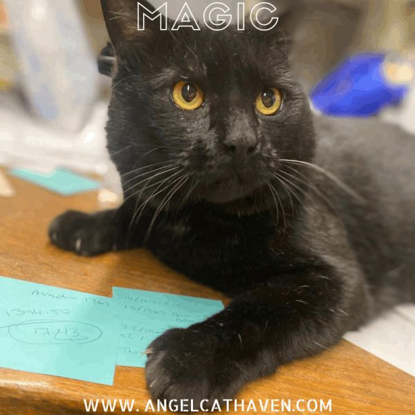 Magic