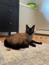Stormy 3 (Coco)