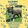 **Kazhem** photo 2