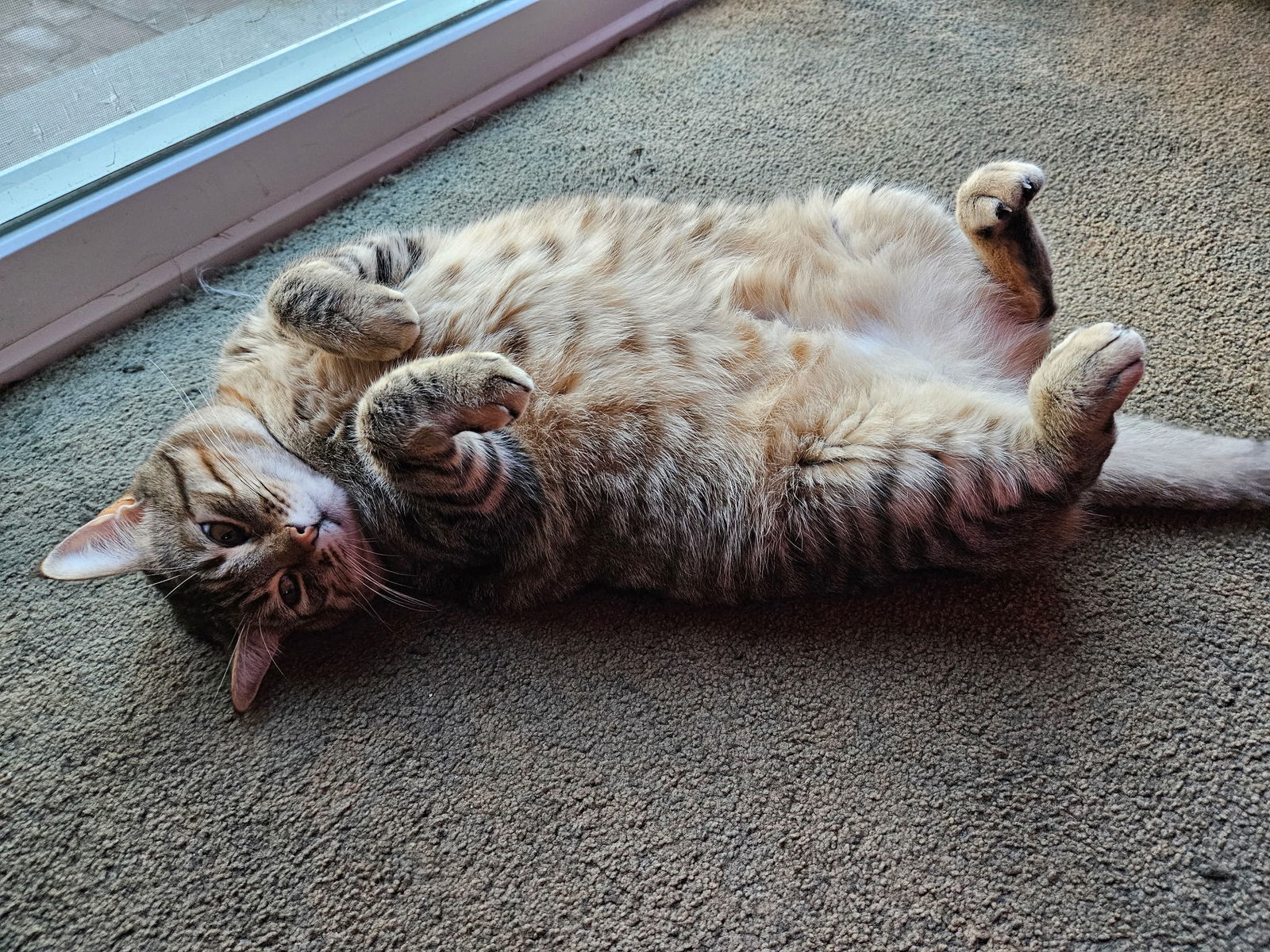 Juni