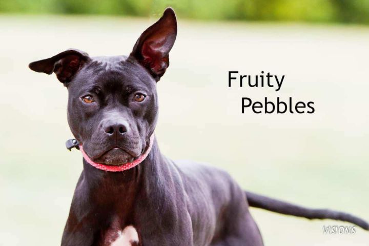 Fruity Pebbles  2